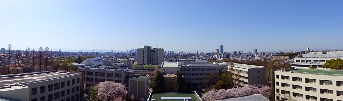 DSC02868