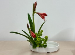 Ikebana_02262025
