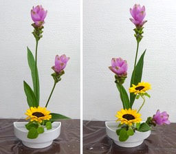 Ikebana_07292022