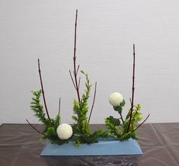Ikebana_11182022
