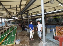 鳥羽水族館３